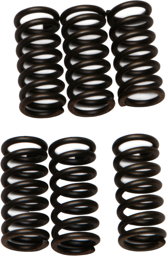 EBC CSK Clutch Spring Kit CSK2