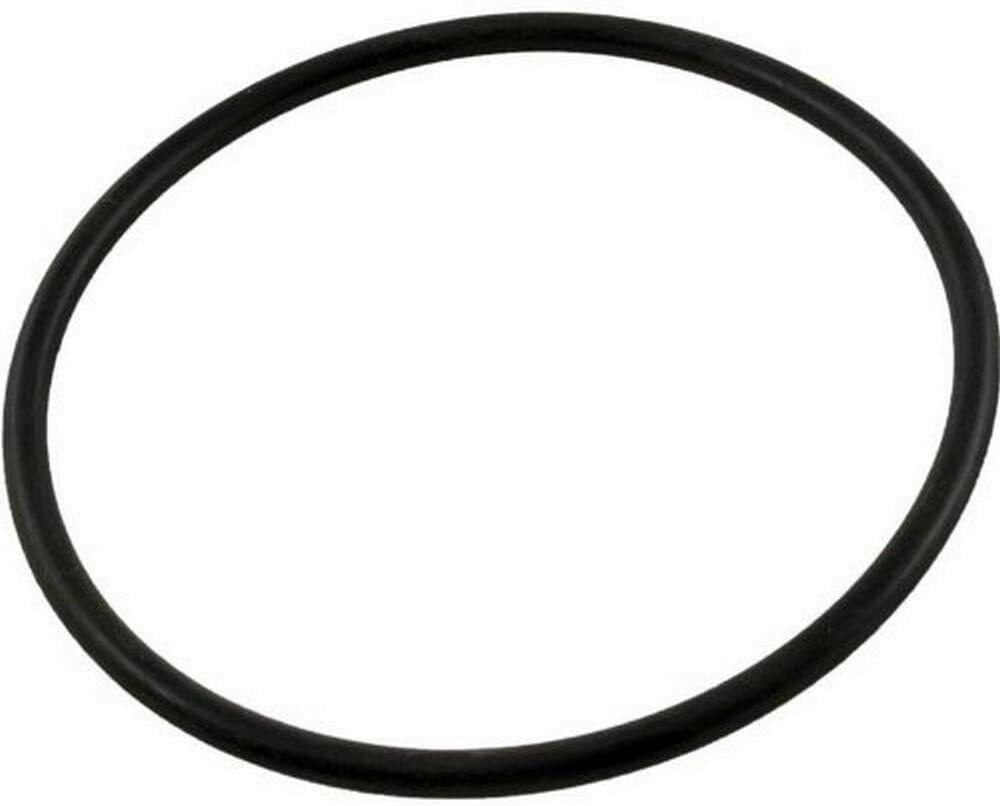 Waterway 805-0233 Crystal Water Filter Handle O-Ring