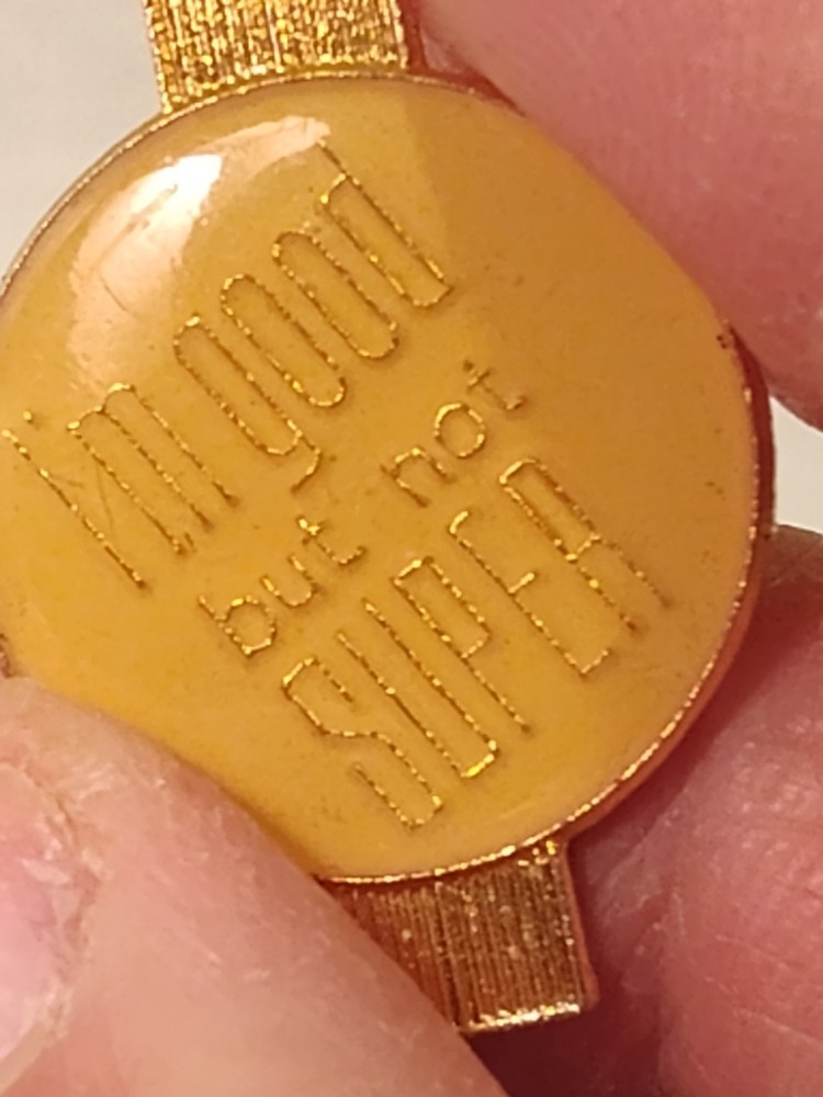 Vintage 1980s Ski Level Commentary Lapel Pin
