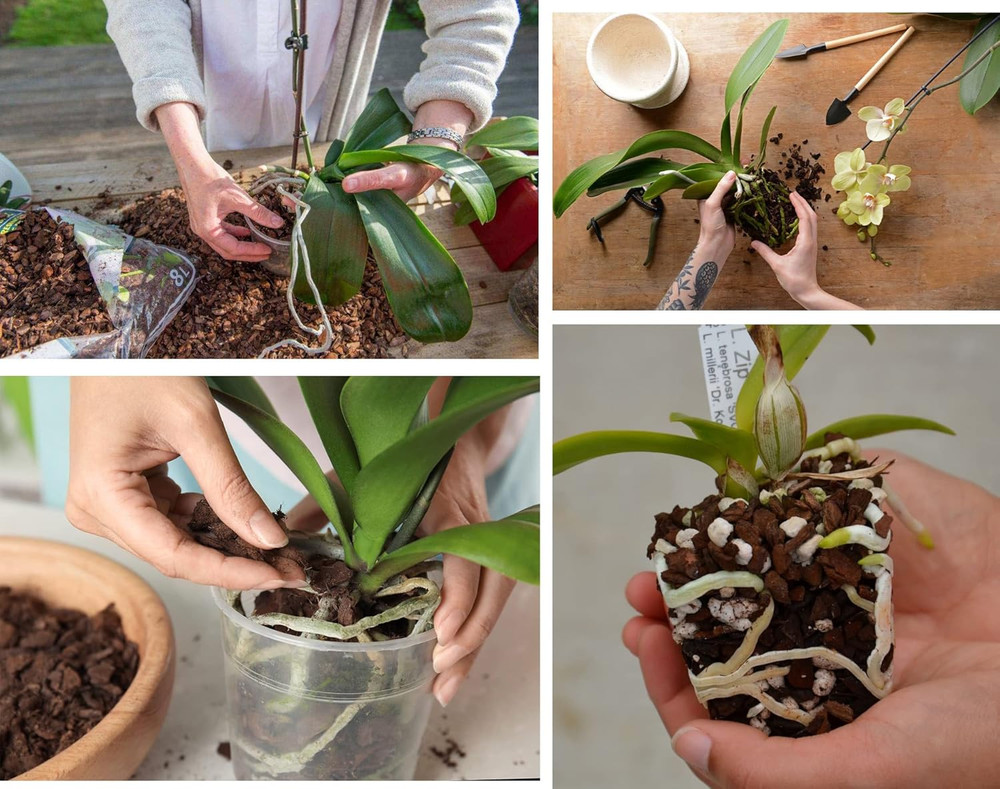 Orchid Bark for Plants, Organic Pine Bark for Proper Root Development for Phalae