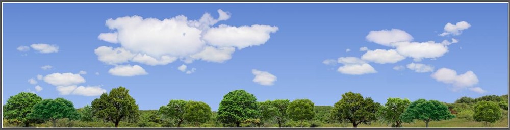 TRACKSIDE BACKDROP #470 Trees and sky HO Scale