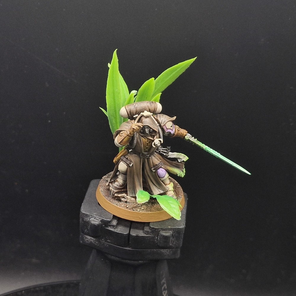 Pro Painted Warhammer 40k primaris Phobos Librarian Games workshop