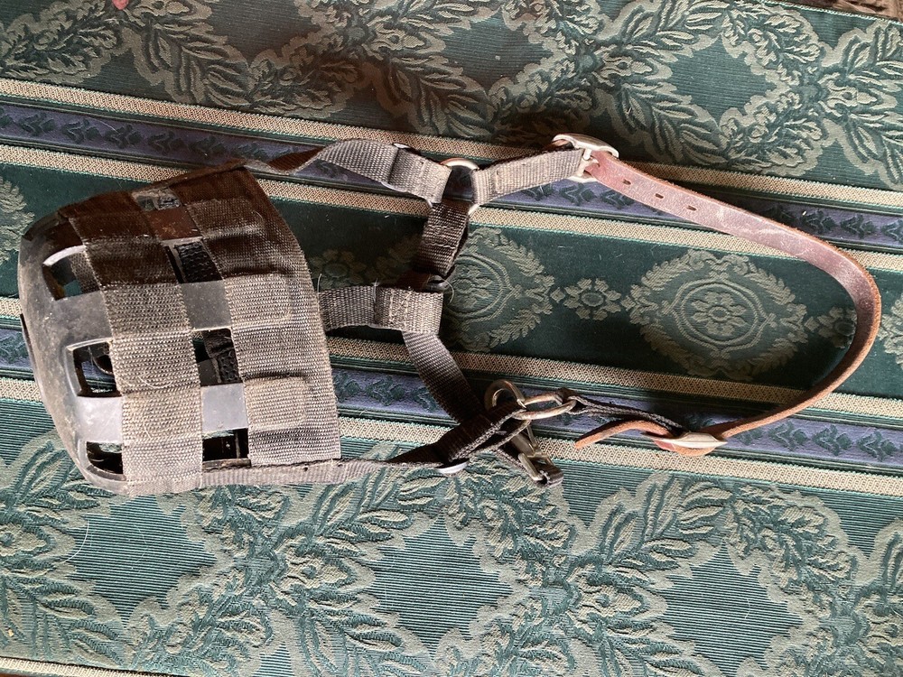 DA brand safety pony grazing muzzle