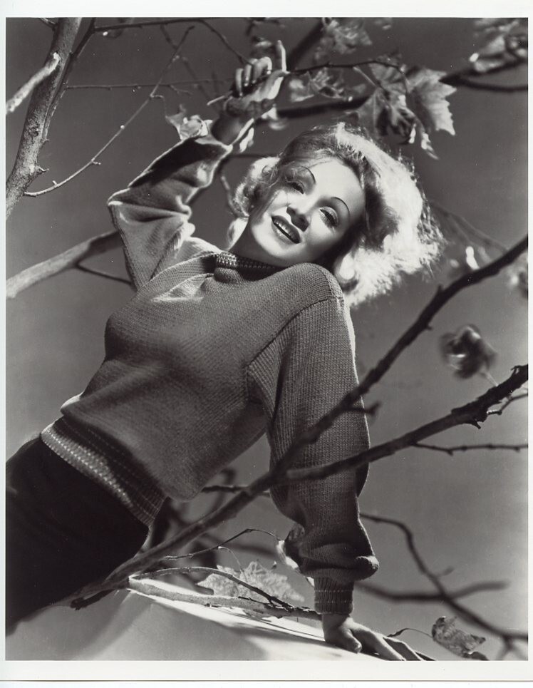 MARLENE DIETRICH  8X10 PHOTO 8806