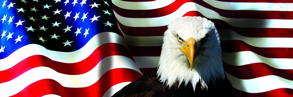 AMERICAN USA FLAG EAGLE Sticker Decal XV