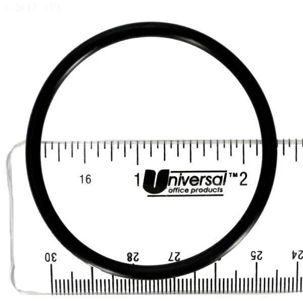 Gasket, Bulkhead Adaptor