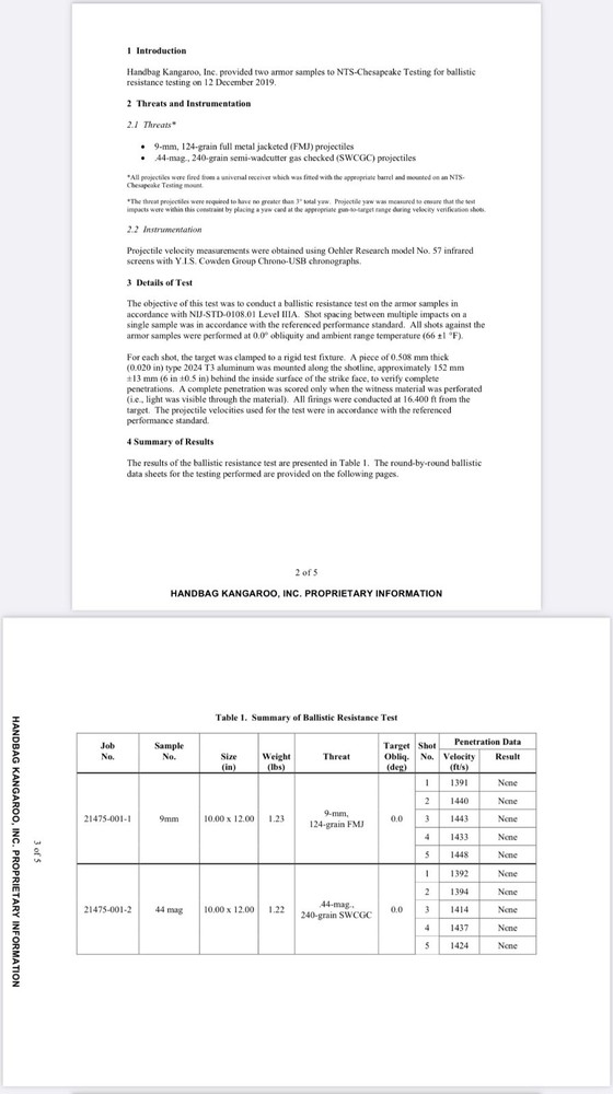 bullet proof-Lightweight with 10 x 12 panel Insert.