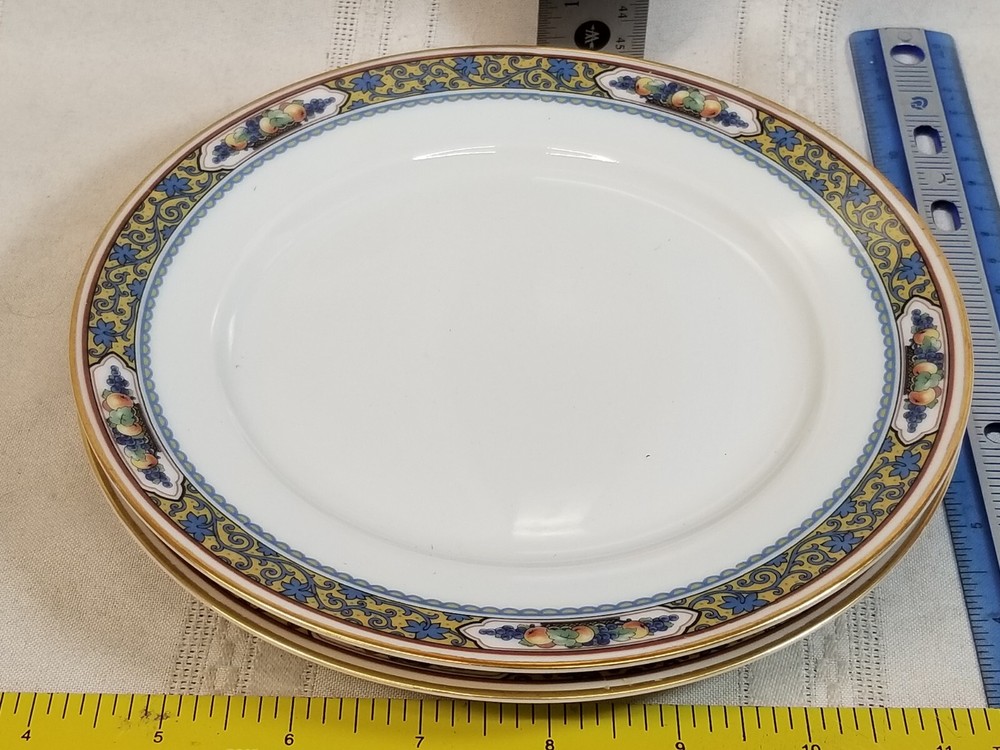 2 Thomas Bavaria “Harvest” Pattern 7 5/8" Salad Plates