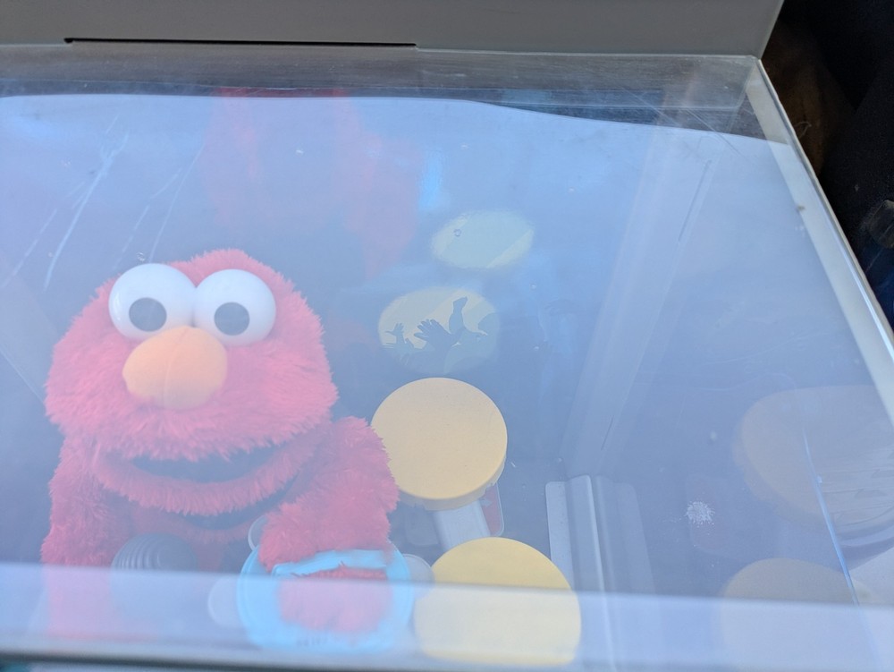 Let’s Rock Elmo Store Display