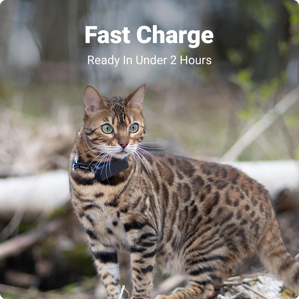 Tractive GPS Cat Mini Charging Cable