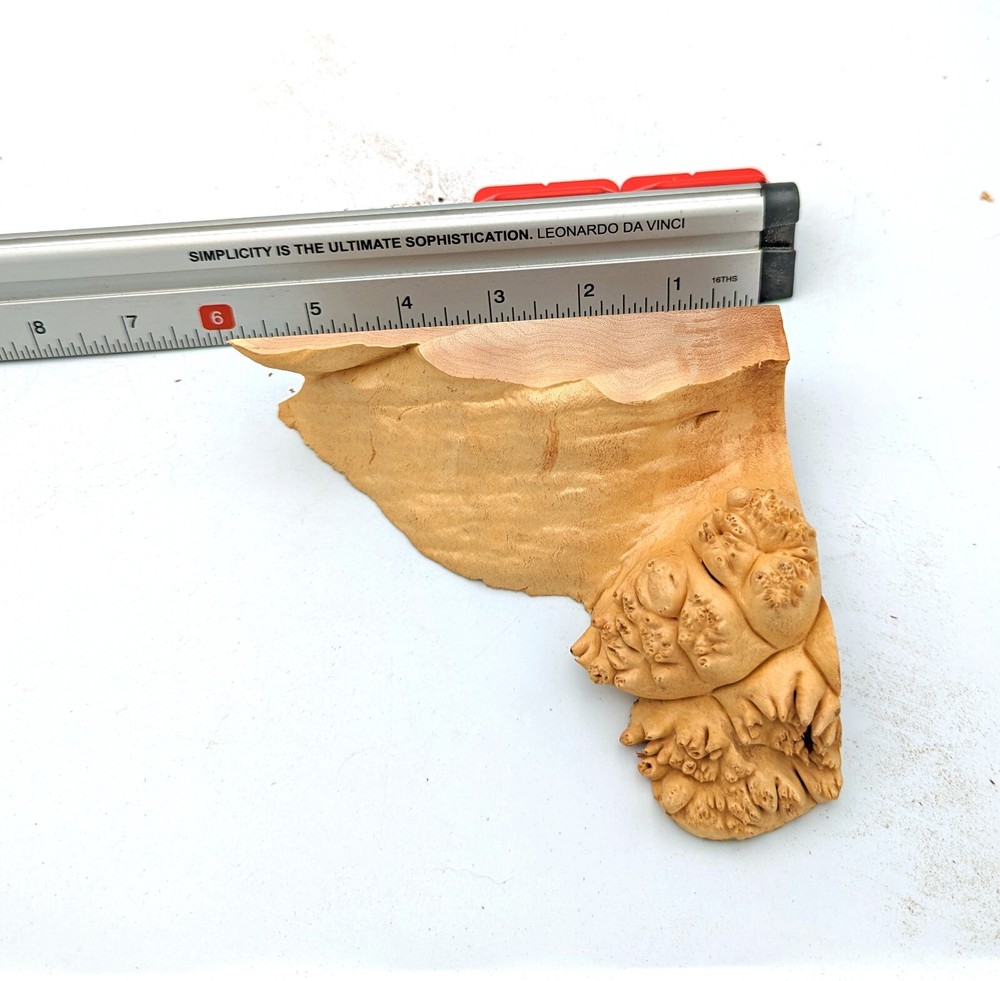 Maple Burl Scrap