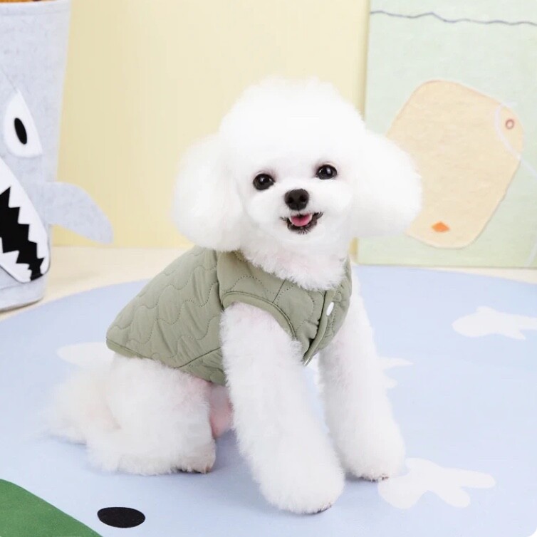 Small Dog Winter Jacket with D-ring