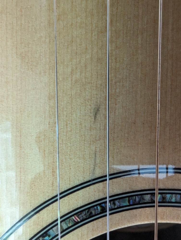 Washburn Bella Tono Elite W/Case