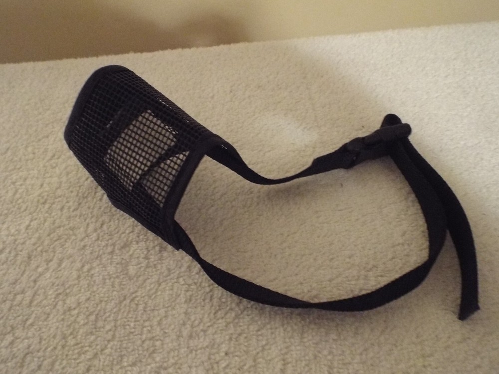 Black Dog Muzzle Medium
