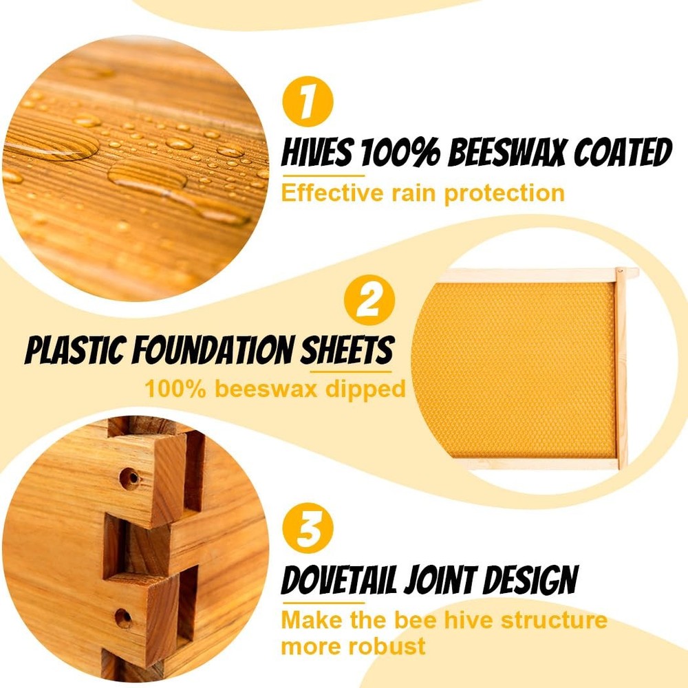 Medium Super Bee Hive Box with Frames and Waxed Foundations for Beginners