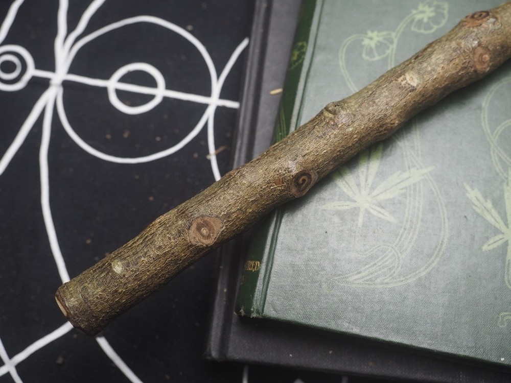 Cornish Holly Wood Wand - Protection - Pagan, Witchcraft, Ogham Tree