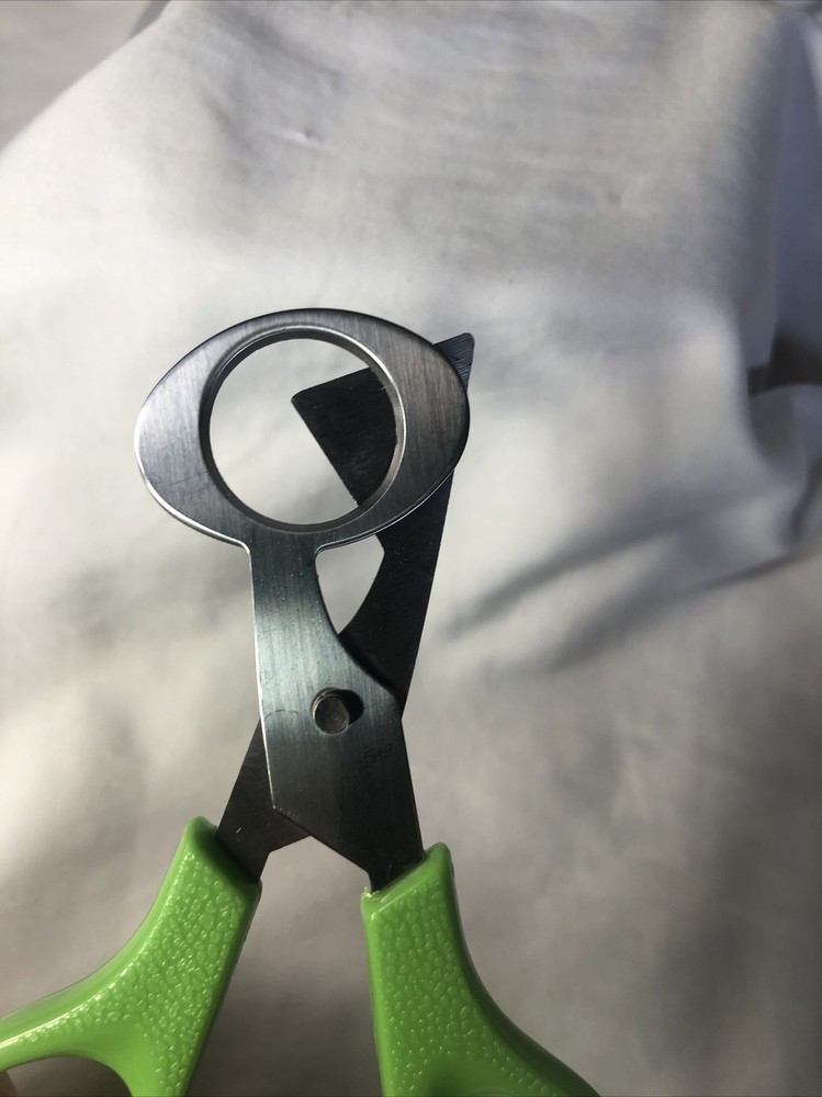 Quail Egg Scissors green Stainless Steel