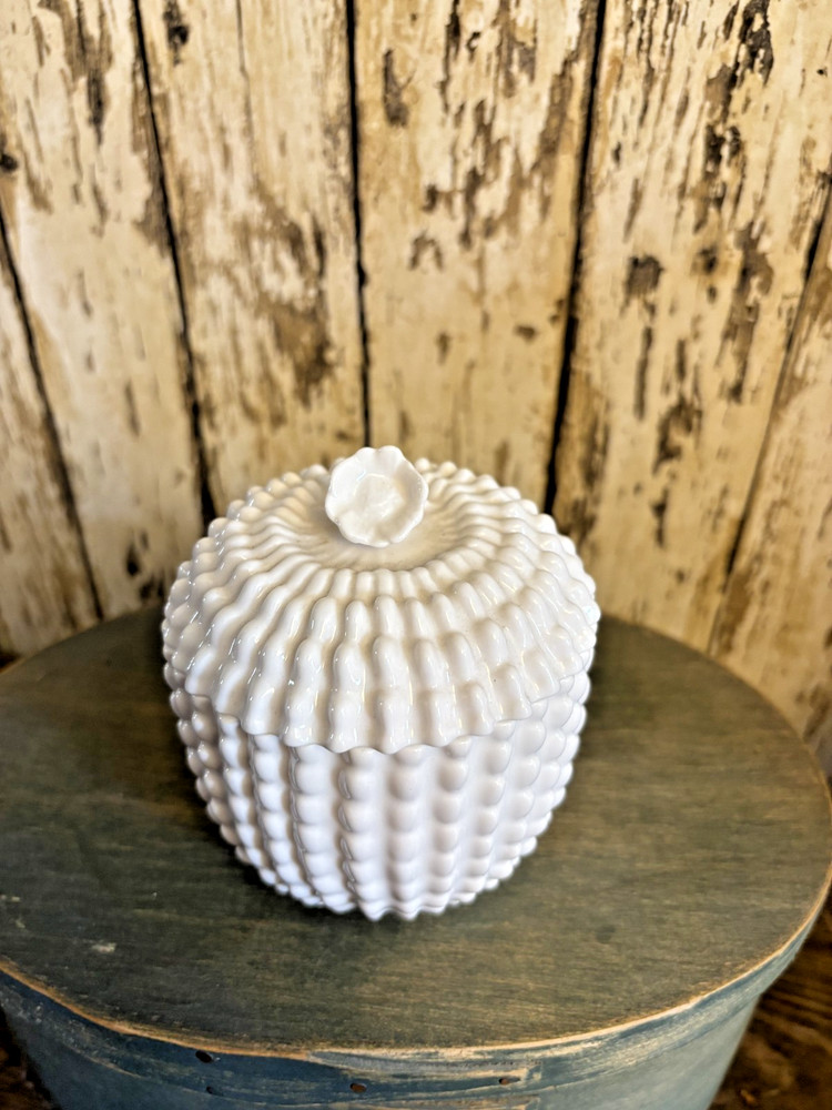 Vintage Spode English Bone China Cactus Shaped Jam Jar