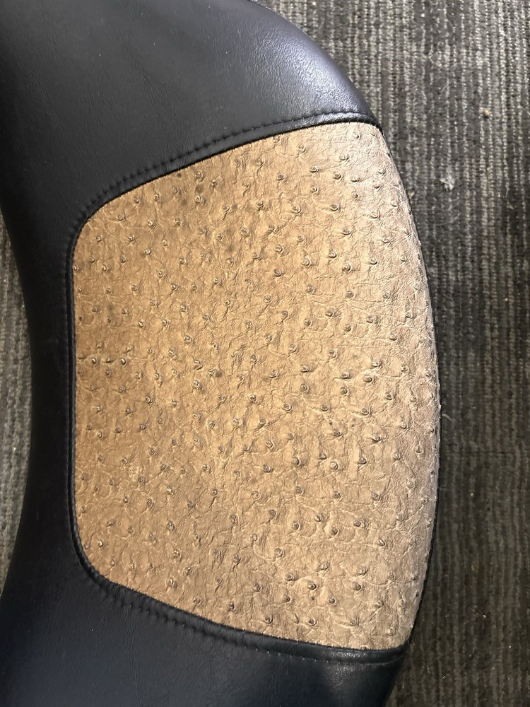 Harley Davidson Ultra FLHTCU Backrest custom inlay