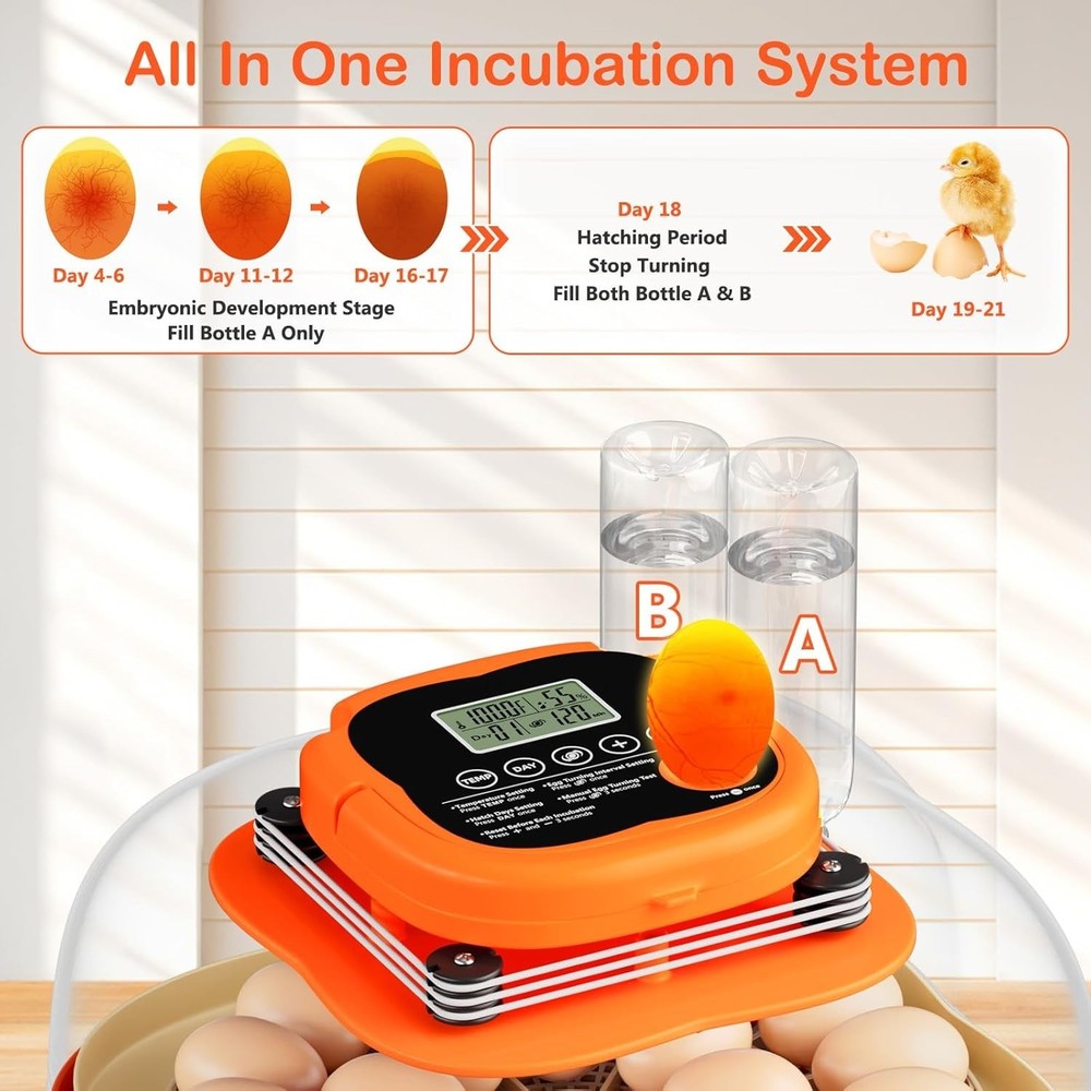Compact Egg Incubator for Multiple Bird Species