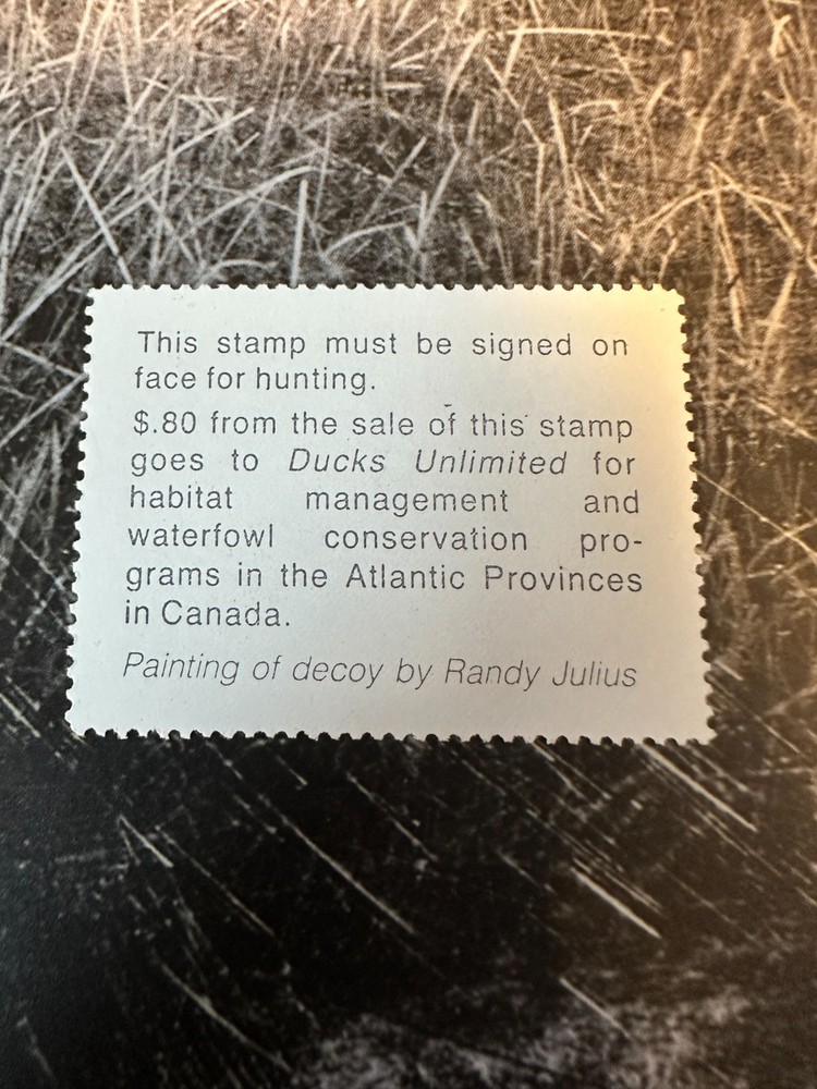 1986 Massachusetts State Duck Stamp,