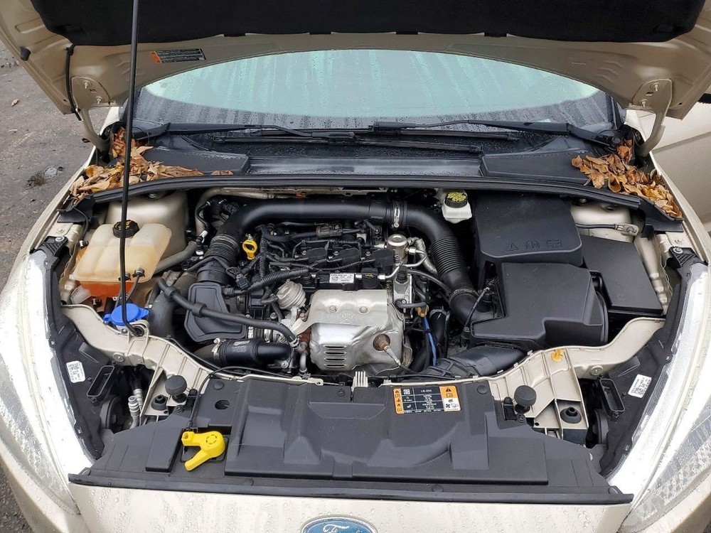 FOCUS 2018 Glove Box 5027623