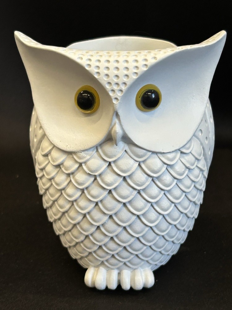 Owl Planter. Resin Beautiful