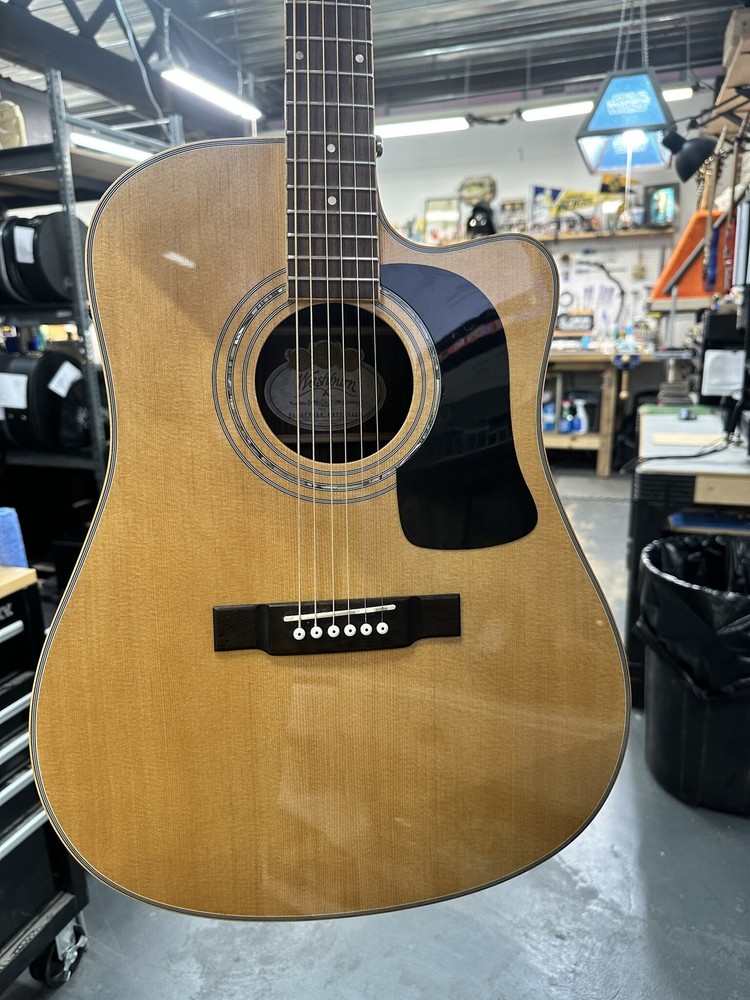 Washburn D10SCE DLK w/ case