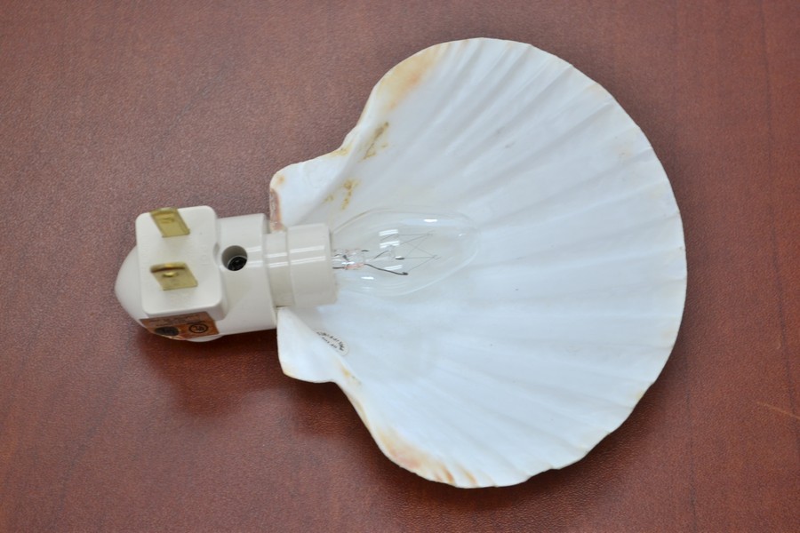 DEEP WHITE IRISH SCALLOP SEA SHELL NIGHTLIGHT