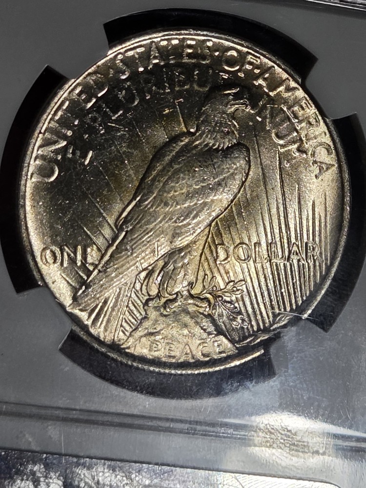 1922 $1 Peace Dollar NGC MS63 Toned