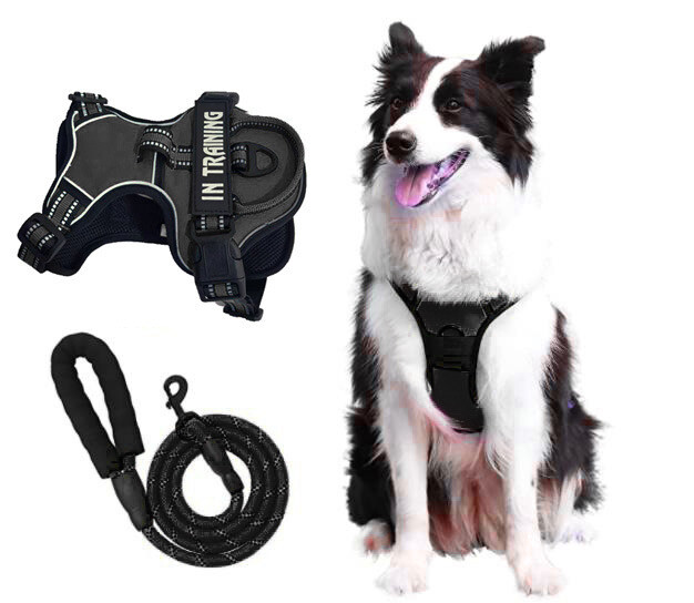 No-Pull Dog Pet Harness + Leash Reflective Control Adjustable Collar Handle