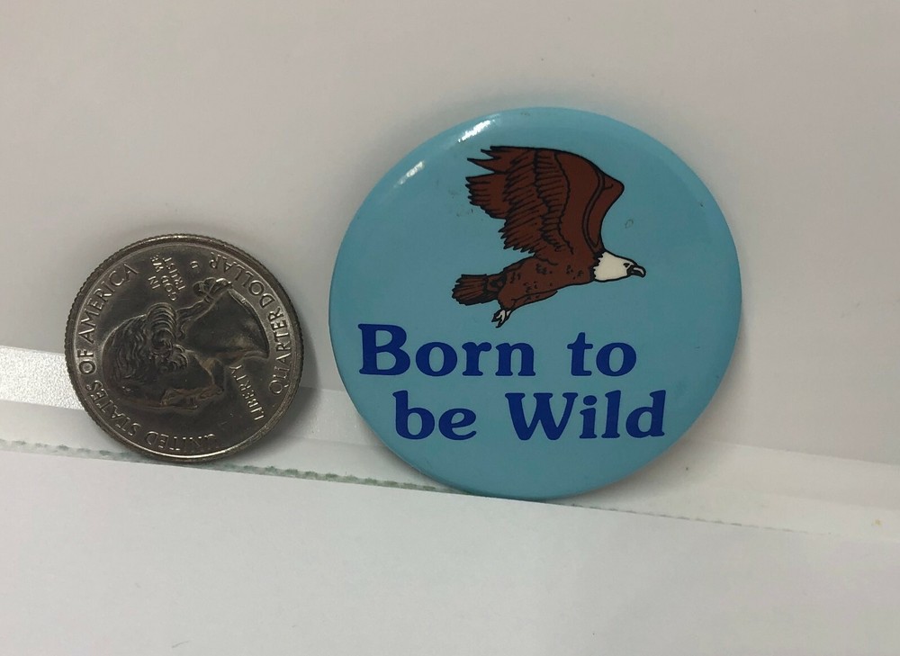 Born To Be Wild Pin