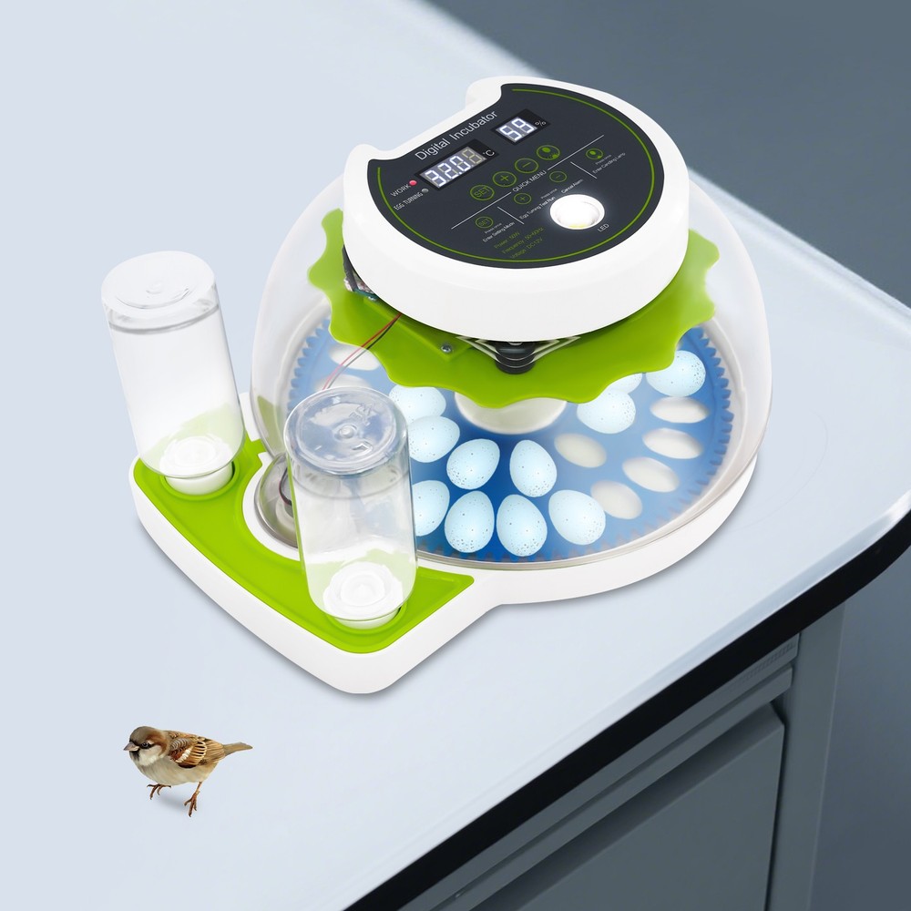 33 Eggs Quail Egg Incubator Modern Small Quail Brooder Poultry Quail Incubator