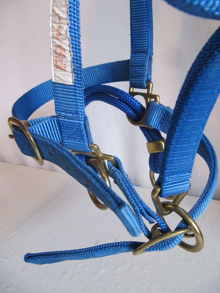 MONTY ROBERTS BLUE MEDIUM/LRG DUALLY TRAINING HALTER