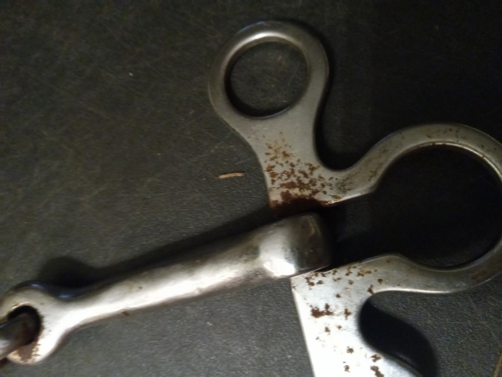 Argentine snaffle bit 5 1/4 inch