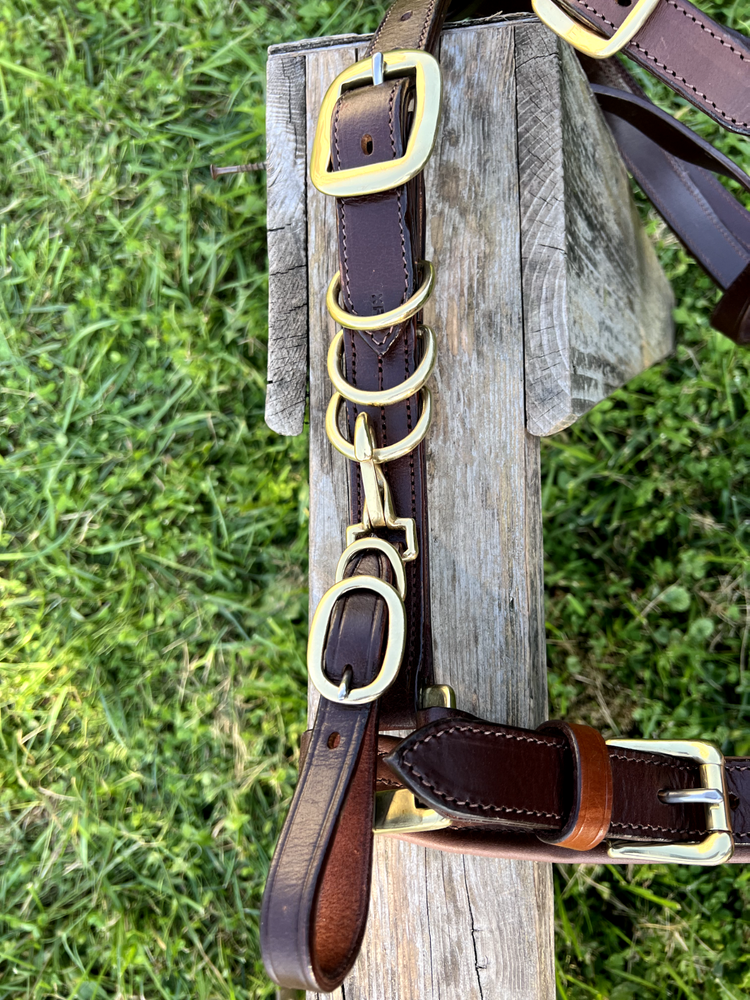 Leaders Heavy Duty True Draft Size Halter Bridle with Solid Brass Hardware