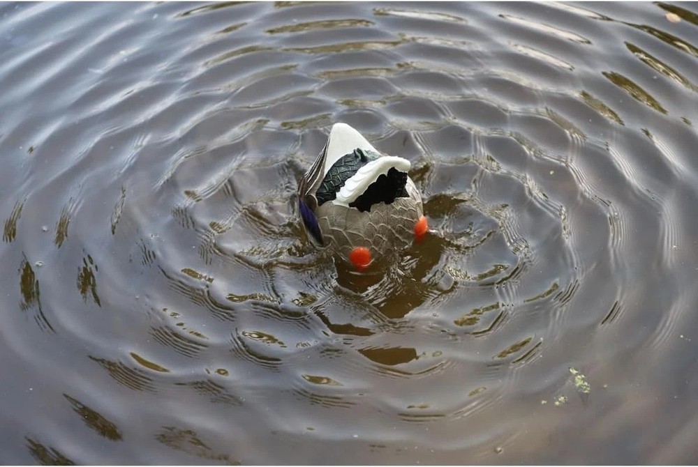 Mojo Butt Up Rippler, Mallard