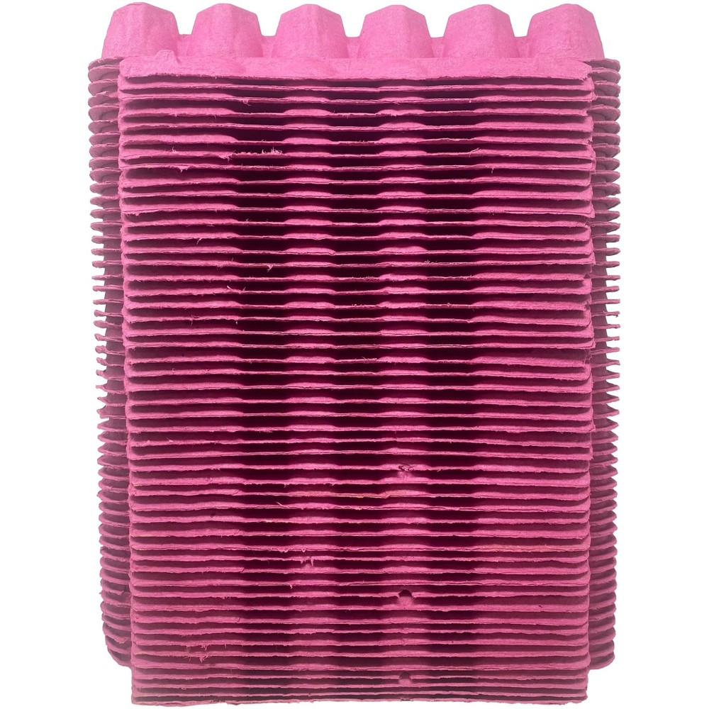 Pink Paper Pulp Egg Cartons - 50 Pack