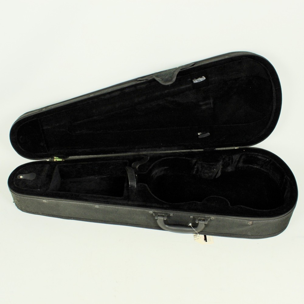Unbranded Replacement Hardshell Viola Case