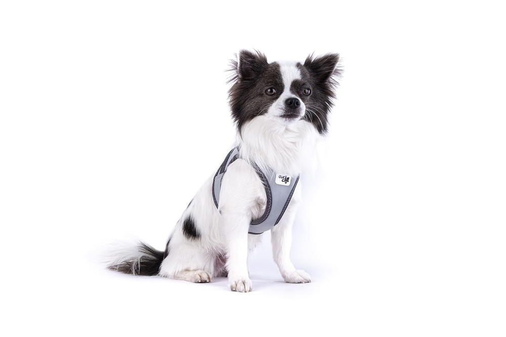 Glow curli Clasp Vest Harness Reflective Gray 2XS