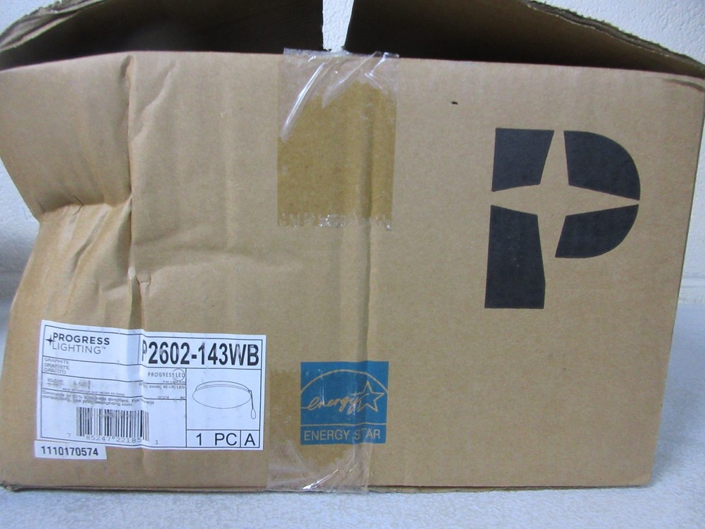 Progress Lighting Fan Light Kits Collection 2-Light Graphite Ceiling Fan Light