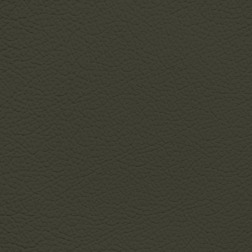 GM Medium Moss Leather Dye