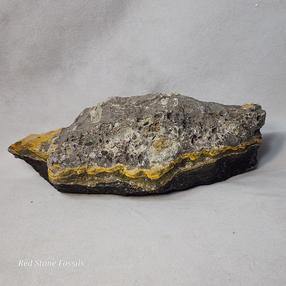 Bumblebee Jasper Slab