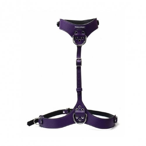 Punishment Body Harness - Purple