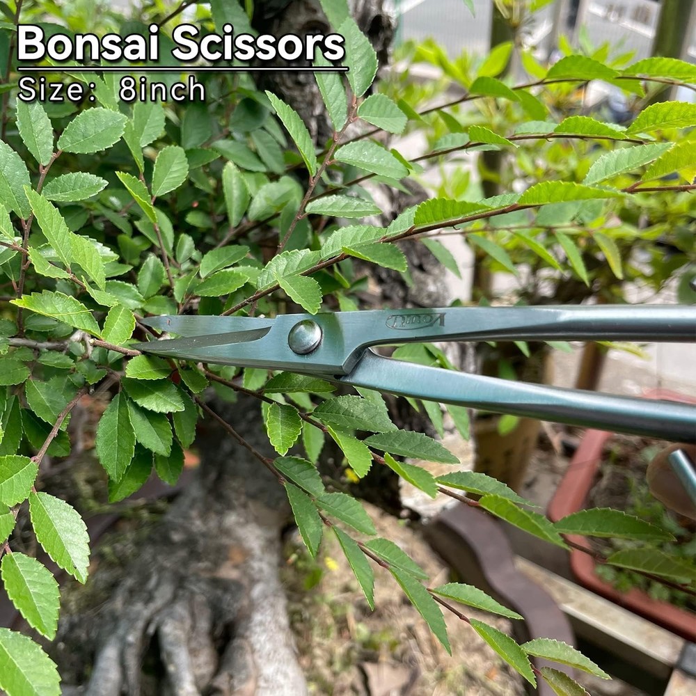 6pc Bonsai Tool Set - Concave/Knob/Wire Cutters, Scissors & Hook