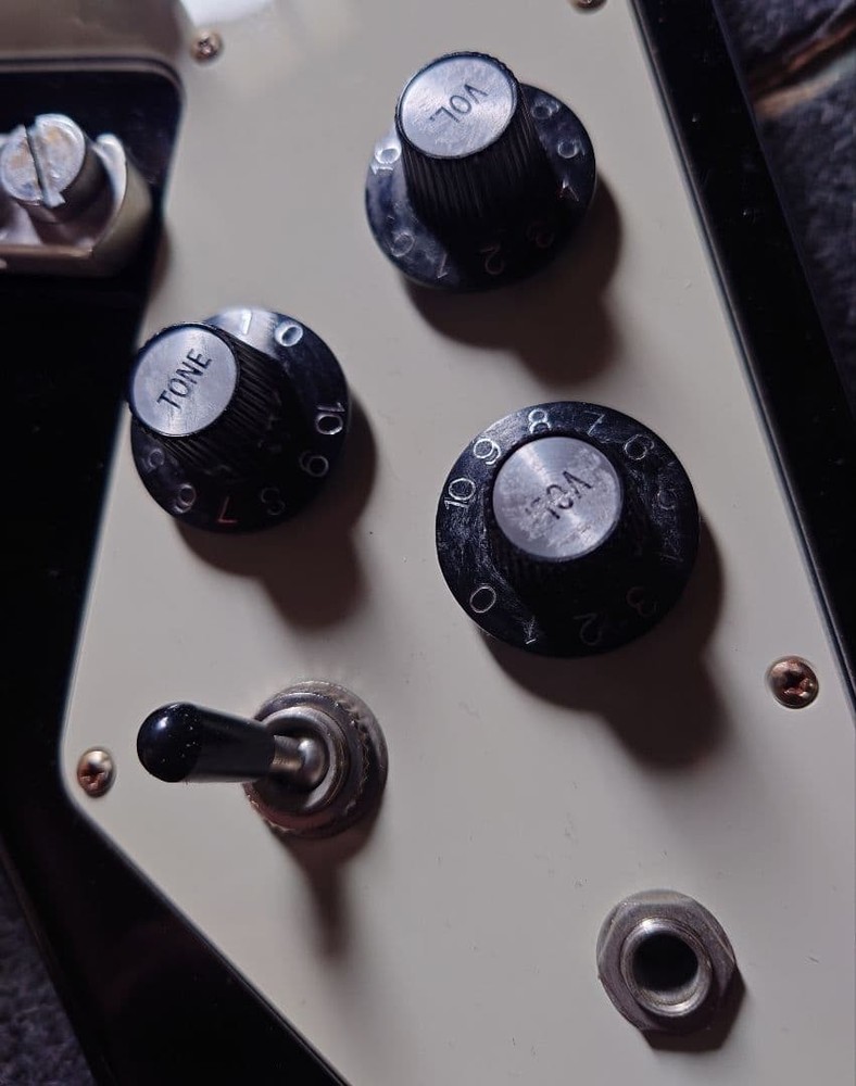 Burny Flying V Guitar