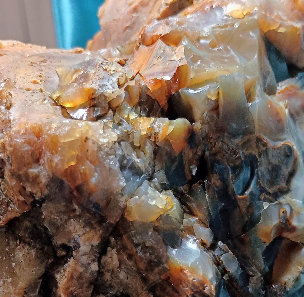 Opalized Petrified Wood Specimen WA State 17 LBS