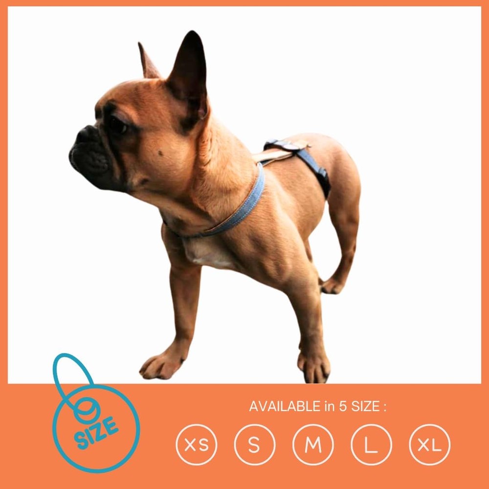 Dog H-Shaped Harness Strong Comfortable Breathable & Fully Adjustable AquaBla...