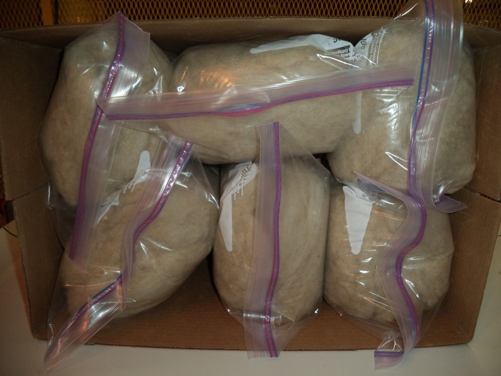 White Washed Texel Wool Roving - Free Shipping