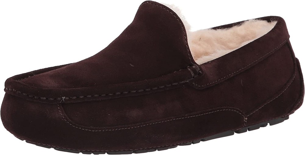 UGG MEN ASCOT MEDIUM Shoes Espresso New
